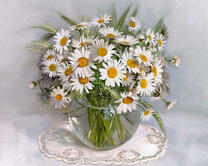 Без бренда «2KMA-0021» в Краснодаре