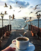 Без бренда «2KMB-1952» в Краснодаре