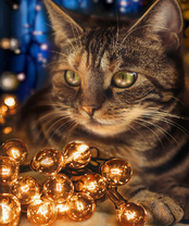 Без бренда «2KXSB-0678» в Краснодаре