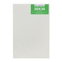 Без бренда «Коробка 80 шт.: Холст Две картинки на подрамнике 20X30» в Краснодаре