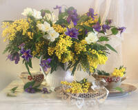 Без бренда «Натюрморт из мимоз и колокольчиков (20шт)» в Краснодаре