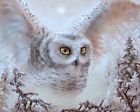 Без бренда «Полярная сова над лесом (20шт)» в Краснодаре