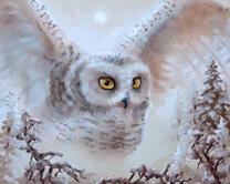 Без бренда «Полярная сова над лесом (20шт)» в Краснодаре