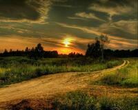 Без бренда «Проселочная дорога на закате» в Краснодаре