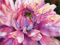 Без бренда «Пышный розовый цветок» в Краснодаре в интернет-магазине Без бренда «Пышный розовый цветок» в Краснодаре