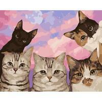 Без бренда «Такие разные котики» в Краснодаре