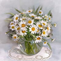 Без бренда «Букет свежих ромашек» в Краснодаре в интернет-магазине  Без бренда «Букет свежих ромашек» в Краснодаре