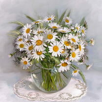 Без бренда «Букет свежих ромашек» в Краснодаре