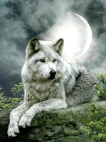 Без бренда «Коробка 25 шт. картин по номерам BOX25-GX21058» в Краснодаре