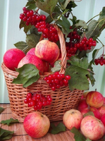 Без бренда «Коробка 25 шт. картин по номерам BOX25-GX5174» в Краснодаре