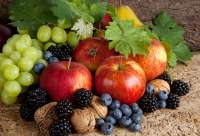 Без бренда «Фрукты, ягоды и орехи» в Краснодаре в интернет-магазине Без бренда «Фрукты, ягоды и орехи» в Краснодаре