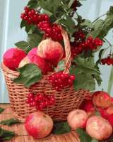 Без бренда «Плетёная корзина с калиной и яблоками» в Краснодаре