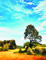 Без бренда «Осенний пейзаж с голубым небом» в Краснодаре в интернет-магазине  Без бренда «Осенний пейзаж с голубым небом» в Краснодаре