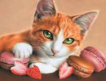 Рыжий котик и макароны