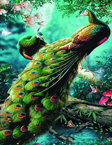 Павлины с зеленым оперением