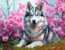 Серый волк возле цветущей сакуры