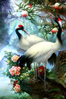 Без бренда «Коробка 25 шт. картин по номерам BOX25-GX29399» в Краснодаре