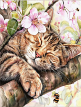 Без бренда «Волосатый котик спит на ветви яблони» в Краснодаре в интернет-магазине  Без бренда «Волосатый котик спит на ветви яблони» в Краснодаре